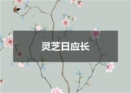 灵芝日应长