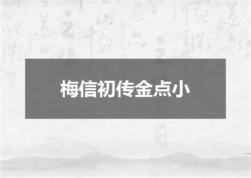 梅信初传金点小