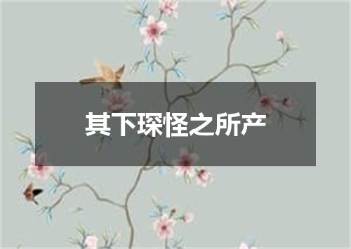 其下琛怪之所产