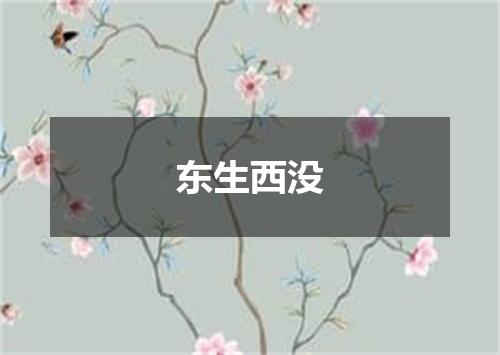 东生西没