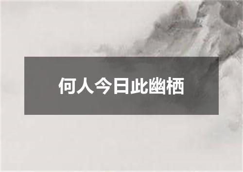 何人今日此幽栖