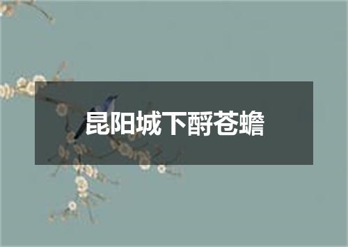 昆阳城下酹苍蟾