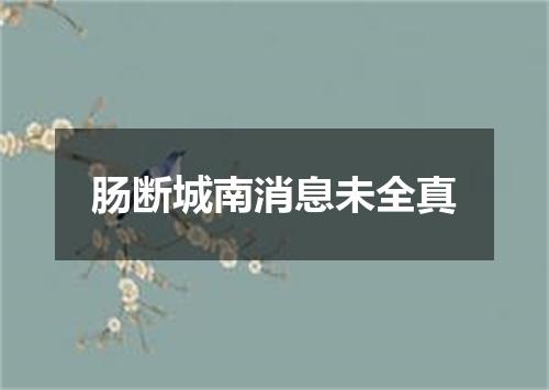 肠断城南消息未全真