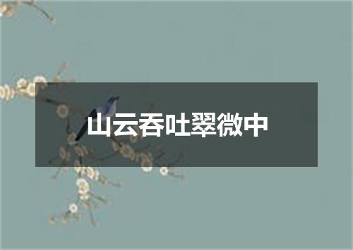 山云吞吐翠微中