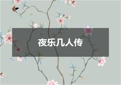 夜乐几人传