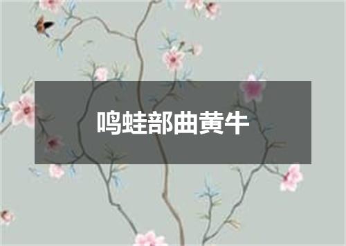 鸣蛙部曲黄牛