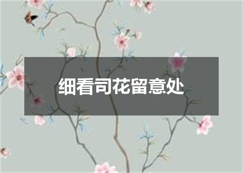 细看司花留意处