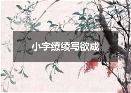 小字缭绫写欲成