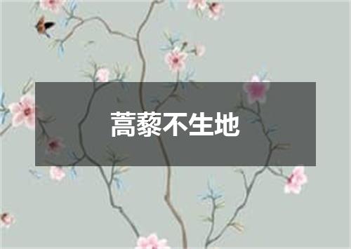 蒿藜不生地