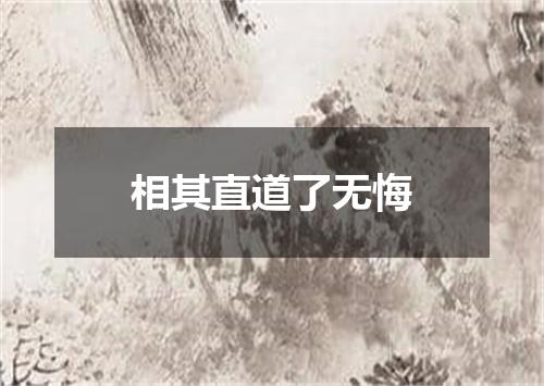 相其直道了无悔