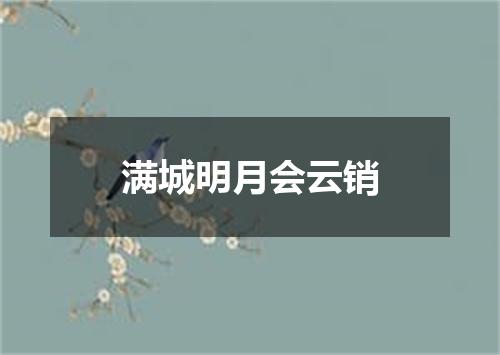 满城明月会云销