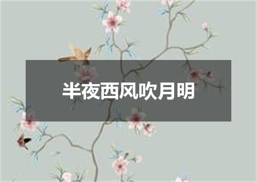 半夜西风吹月明