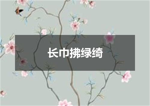 长巾拂绿绮