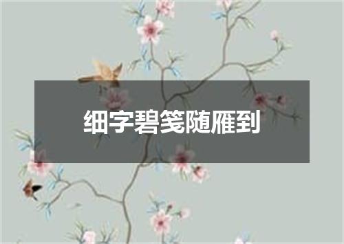 细字碧笺随雁到