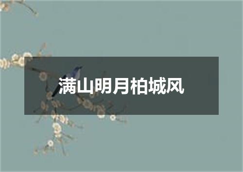 满山明月柏城风