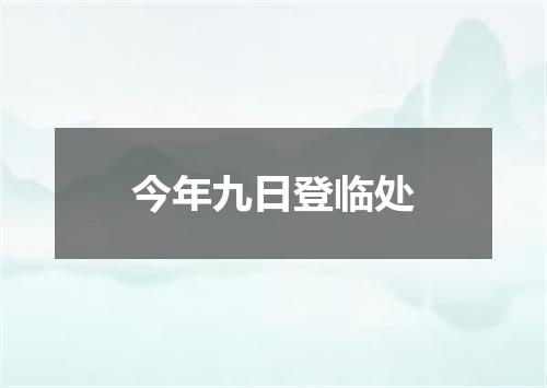 今年九日登临处