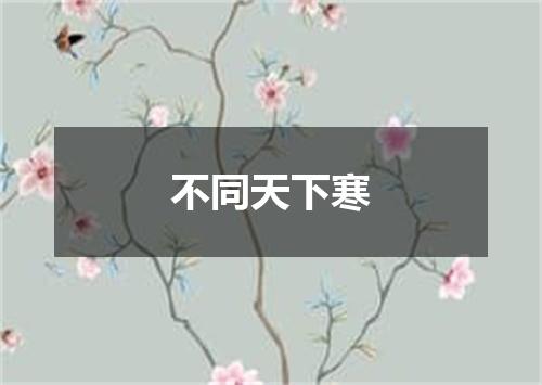 不同天下寒