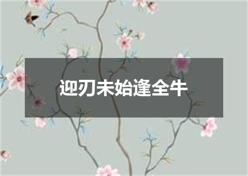 迎刃未始逢全牛