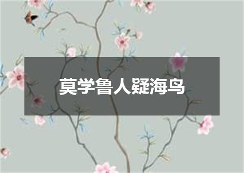 莫学鲁人疑海鸟