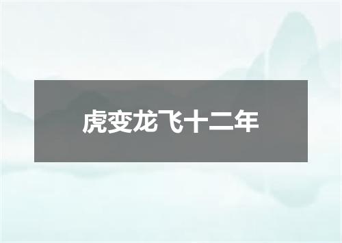 虎变龙飞十二年