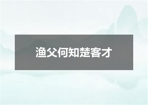 渔父何知楚客才