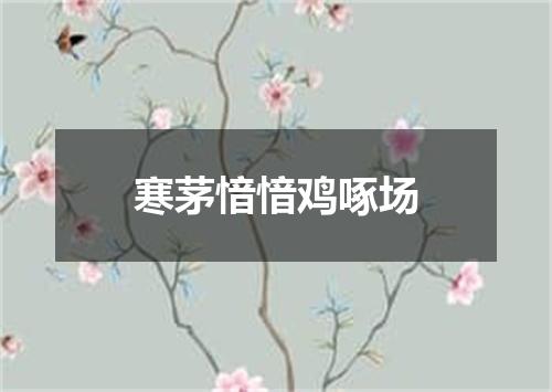 寒茅愔愔鸡啄场