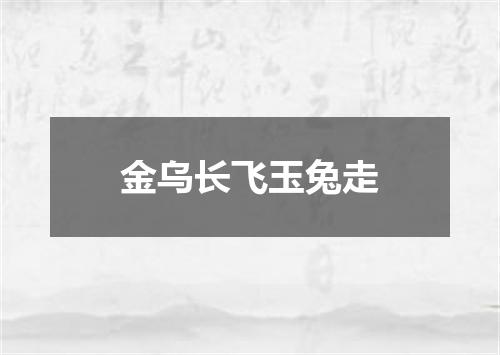 金乌长飞玉兔走