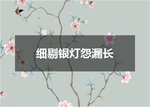 细剔银灯怨漏长