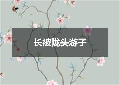 长被陇头游子