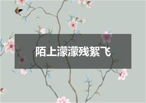 陌上濛濛残絮飞