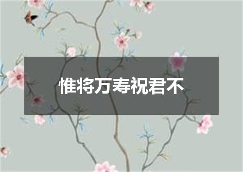 惟将万寿祝君不