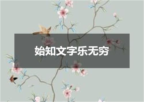 始知文字乐无穷