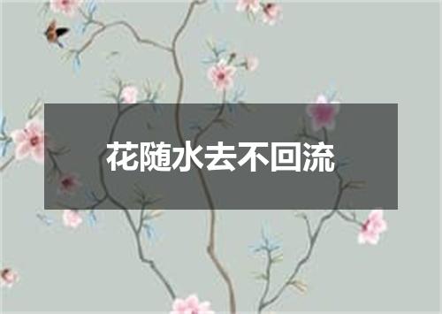 花随水去不回流