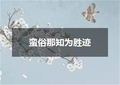 蛮俗那知为胜迹