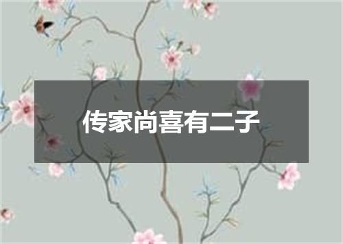 传家尚喜有二子