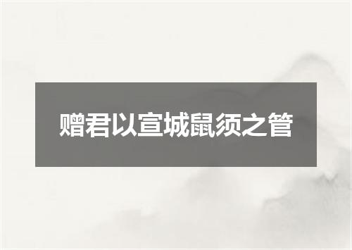 赠君以宣城鼠须之管