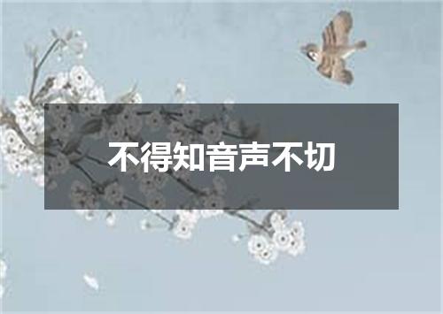 不得知音声不切