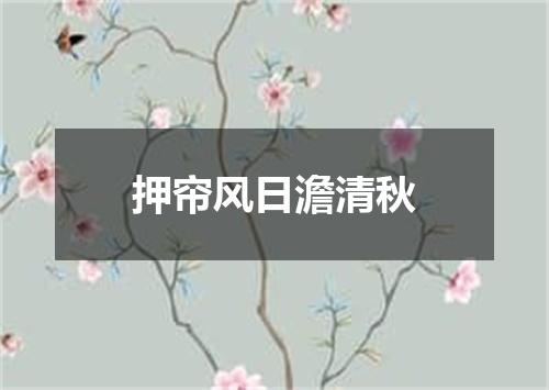 押帘风日澹清秋