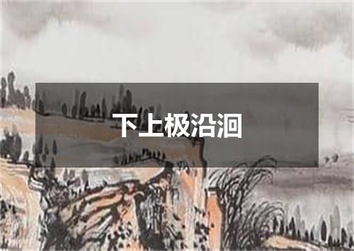 下上极沿洄