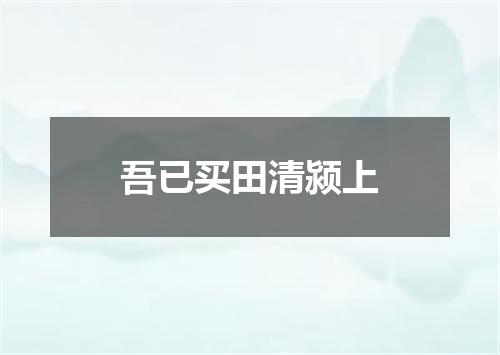 吾已买田清颍上