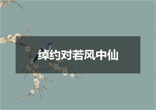 绰约对若风中仙