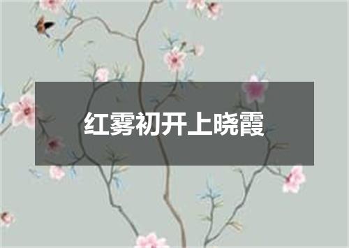 红雾初开上晓霞