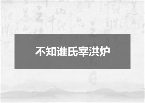 不知谁氏宰洪炉