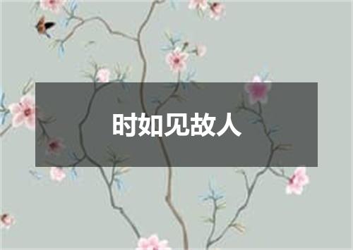 时如见故人