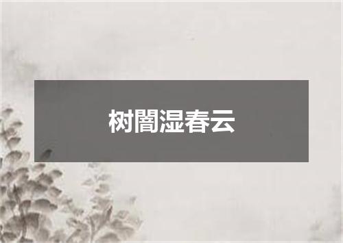 树闇湿春云