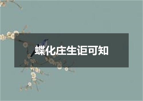 蝶化庄生讵可知