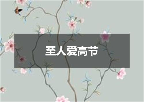 至人爱高节