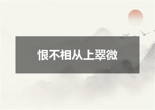 恨不相从上翠微