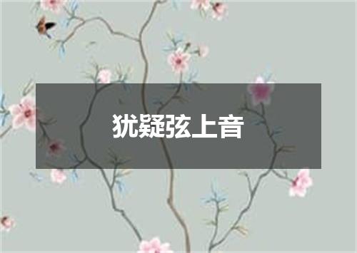 犹疑弦上音