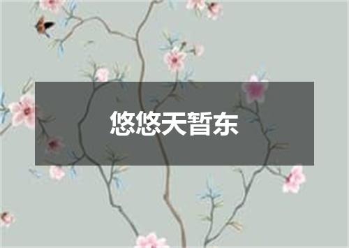 悠悠天暂东